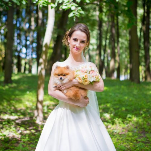 невеста с собачкой